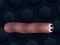 Hra Math Slither online