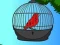Hra Red Bird Rescue online