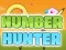 Hra Number Hunter online
