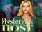 Hra Mysterious host online