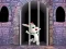Hra Victory Rabbit Escape online