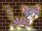 Hra Loveable Small Cat Escape online