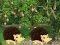 Hra Escape From Mango Farm online