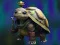 Hra Isolated Turtle Escape online