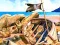 Hra Pirate Mysteries online