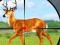 Hra Wild Hunt Hunting Games 3D online
