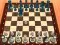 Hra Chess Master 3D online
