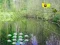 Hra Sunlight Forest Adventure online