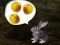 Hra The Foggy Forest online