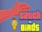 Hra Catch the Birds online