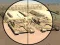 Hra Camo Sniper online