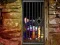 Hra Hidden Cat Escape online