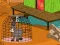 Hra The Amiatina Escape online