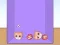 Hra Evolution of Cat Memes online