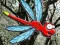Hra Escape From Dragonfly Forest online