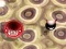 Hra Bouncing Blob online