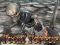 Hra Total Terror online