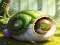 Hra Rescue The Fantasy Snail online