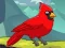 Hra Rescue The Northern Cardinal online