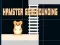 Hra Hamster grid rounding online