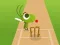 Hra Doodle Cricket online
