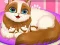 Hra Cute Kitty Pregnant online