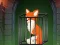Hra Fox in the Forgotten Ruins online