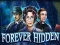Hra Forever Hidden online