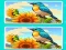 Hra Spot the Difference The Garden online