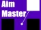 Hra Aim Master online