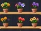 Hra Good Flower Master online
