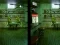 Hra Robot Bar Spot the differences online