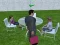 Hra Millionaire Simulator 2024 online