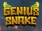 Hra Genius Snake online