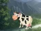 Hra Cow Reach the Shed online