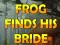 Hra Frog Finds His Bride online
