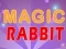 Hra Magic Rabbit online