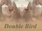 Hra Double Bird online