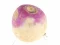 Hra Turnip online
