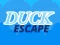 Hra Duck Escape online