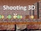 Hra Shooting 3D online