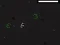 Hra Bad Timing online