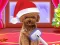 Hra Christmas ASMR Makerover Salon online