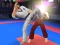 Hra Karate Fighter online