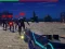 Hra Zombie Survivor online