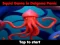 Hra Squid Game In Dalgona Panic online