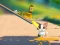 Hra Cat Challenge online