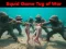 Hra Squid Game Tug Of War online