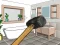 Hra Smash The Room To Pieces online