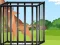 Hra Savanna Escape online